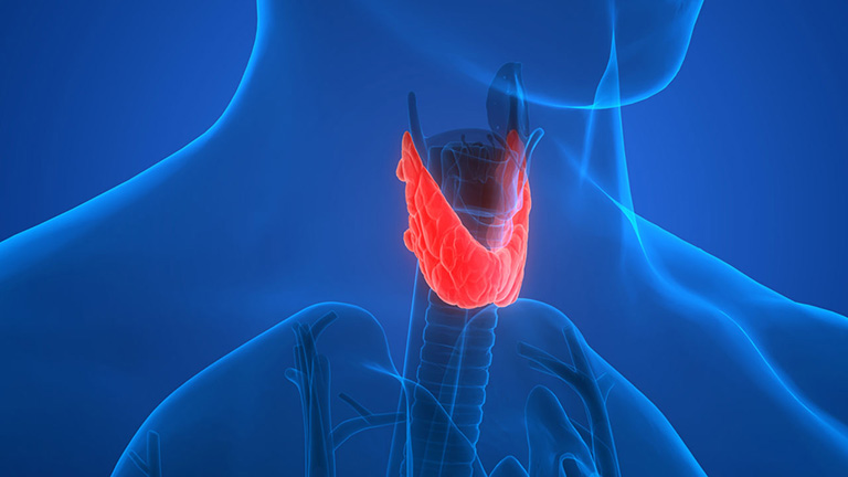 تیروئید چیست؟